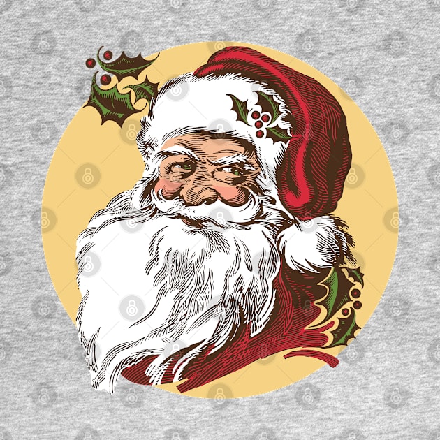 Santa Claus Portrait by RTROstock